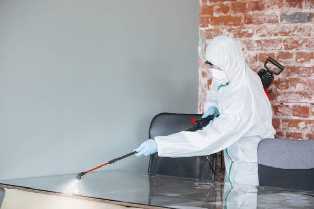 Why You Should Choose Our Mold Remediation Services in Fairfield Beach, OH